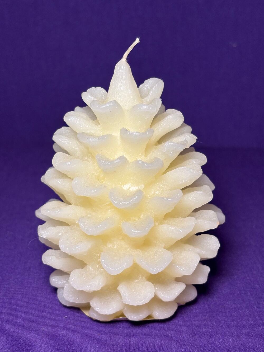 Pottery Barn medium pinecone candle 5'